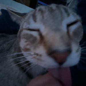 Meet your Posher, Jessi